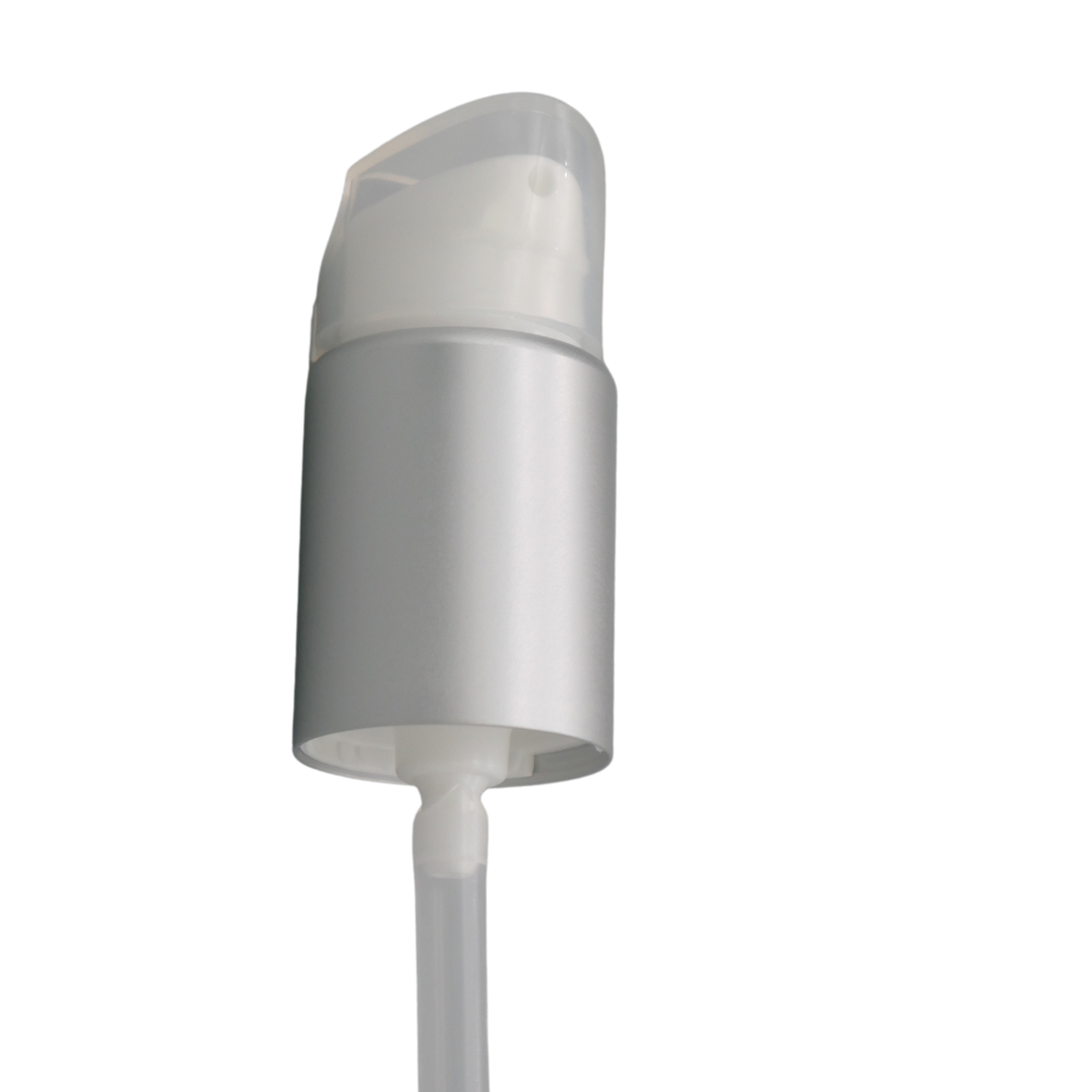 Pumpe silbermatt, Europa 5