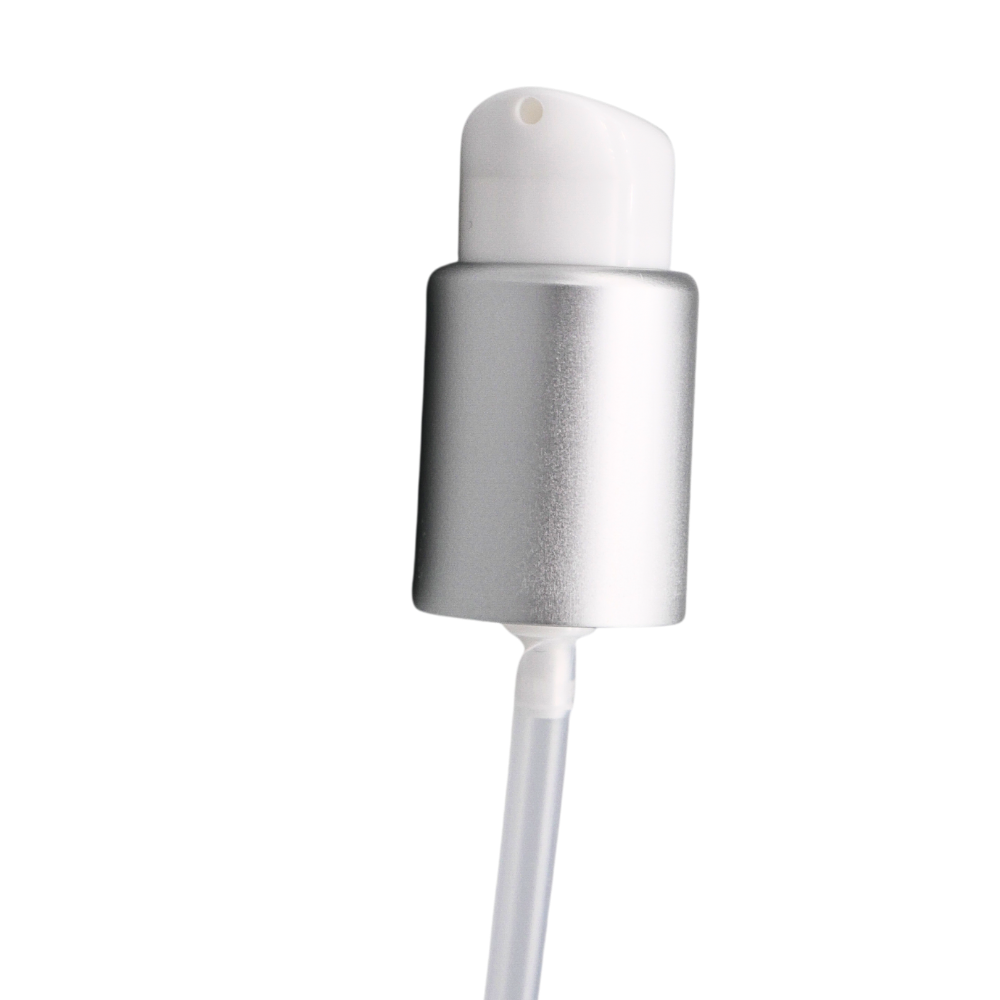 Pumpe silbermatt, Europa 5